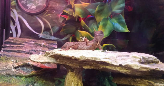 morning picdump 50 pics 17.html - 50 HD Photos | Premium Gallery 2016