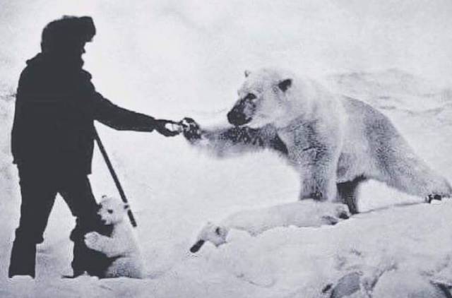 daily picdump 98 pics 12.html - 98 HD Photos | Premium Gallery 2016