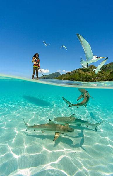 daily picdump 98 pics 12.html - 98 HD Photos | Premium Gallery 2016