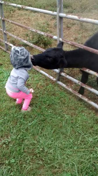 daily picdump 98 pics 12.html - 98 HD Photos | Premium Gallery 2016