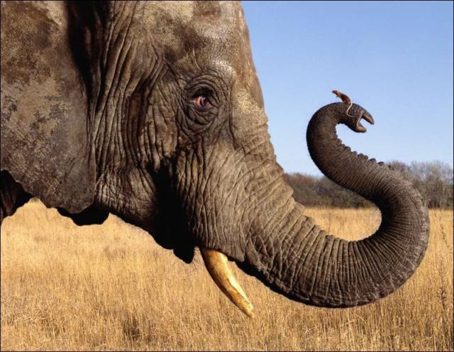 daily picdump 98 pics 12.html - 98 HD Photos | Premium Gallery 2016