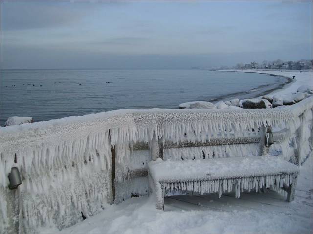 daily picdump 98 pics 12.html - 98 HD Photos | Premium Gallery 2016