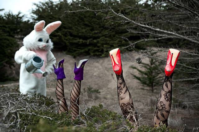 daily picdump 98 pics 12.html - 98 HD Photos | Premium Gallery 2016