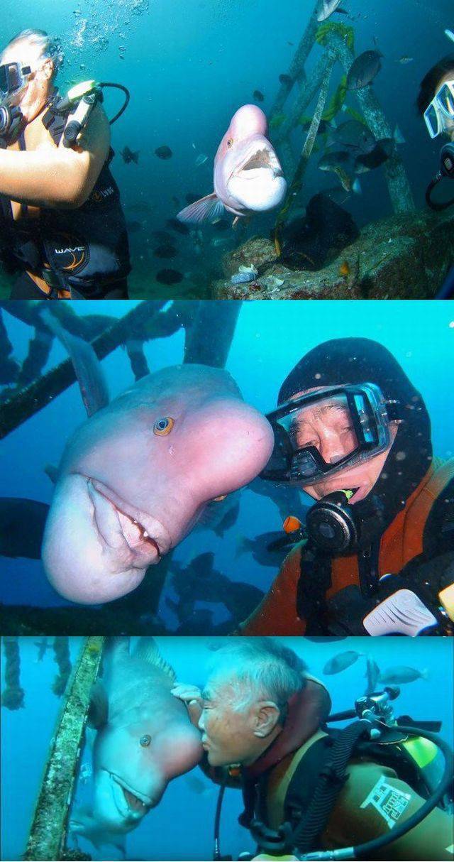 daily picdump 98 pics 12.html - 98 HD Photos | Premium Gallery 2016