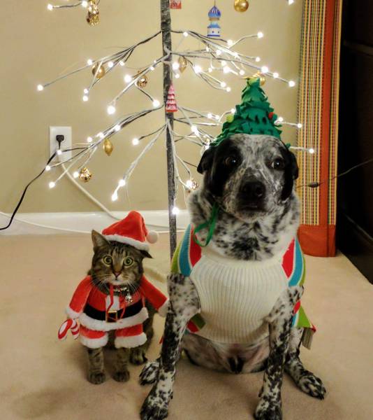 morning picdump 50 pics 17.html - 50 HD Photos | Premium Gallery 2016