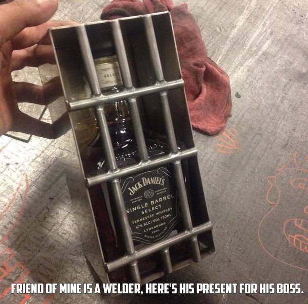 daily picdump weekend edition 53 pics 17.html - 53 HD Photos | Premium Gallery 2016