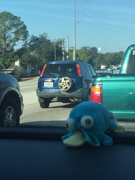 daily picdump weekend edition 53 pics 17.html - 53 HD Photos | Premium Gallery 2016