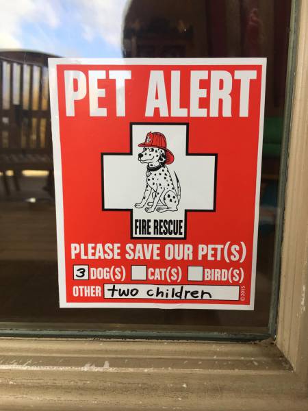 daily picdump weekend edition 53 pics 17.html - 53 HD Photos | Premium Gallery 2016