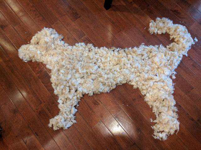 daily picdump weekend edition 53 pics 17.html - 53 HD Photos | Premium Gallery 2016