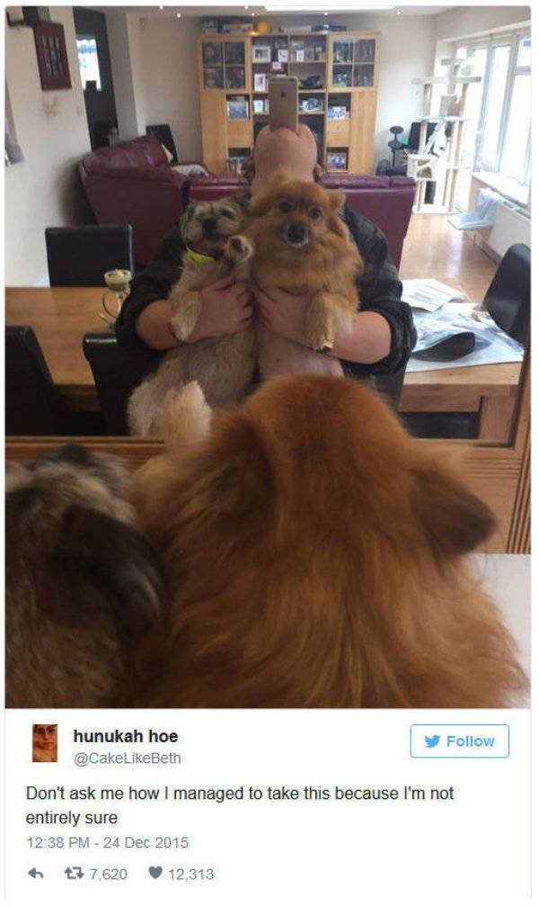 daily picdump weekend edition 53 pics 17.html - 53 HD Photos | Premium Gallery 2016