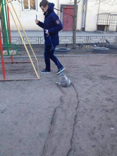 daily picdump 86 pics 40.html - 86 HD Photos | Premium Gallery 2016