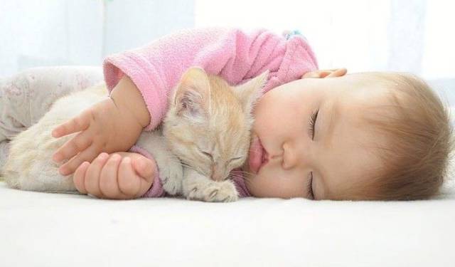 daily picdump 86 pics 40.html - 86 HD Photos | Premium Gallery 2016