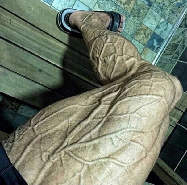 daily picdump 86 pics 40.html - 86 HD Photos | Premium Gallery 2016