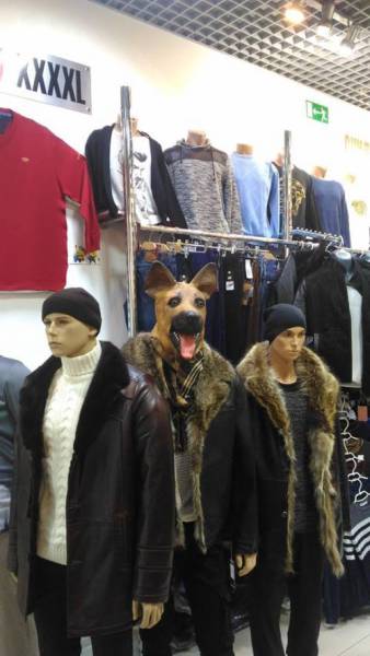 daily picdump 86 pics 40.html - 86 HD Photos | Premium Gallery 2016