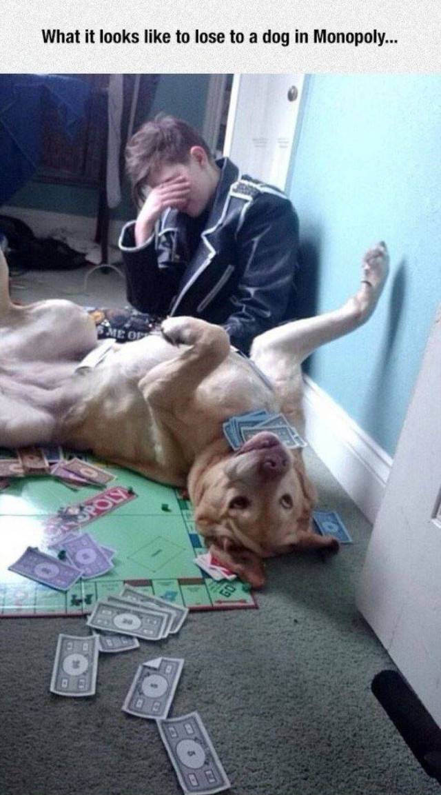 daily picdump 86 pics 40.html - 86 HD Photos | Premium Gallery 2016