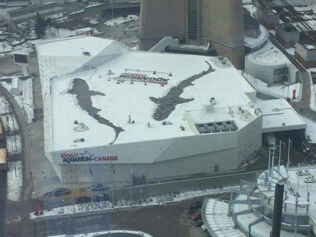 daily picdump 90 pics 35.html - 90 HD Photos | Premium Gallery 2016