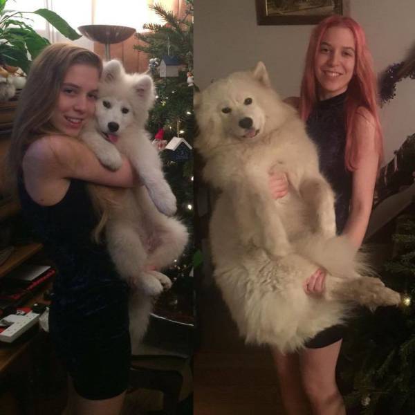 daily picdump 90 pics 35.html - 90 HD Photos | Premium Gallery 2016