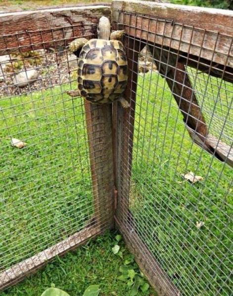 daily picdump 90 pics 35.html - 90 HD Photos | Premium Gallery 2016