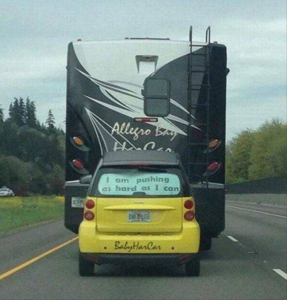 daily picdump 90 pics 35.html - 90 HD Photos | Premium Gallery 2016