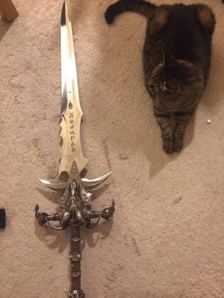 daily picdump 90 pics 35.html - 90 HD Photos | Premium Gallery 2016