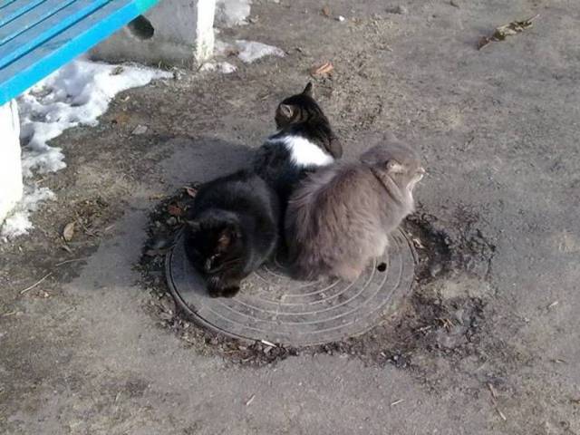 daily picdump 90 pics 35.html - 90 HD Photos | Premium Gallery 2016