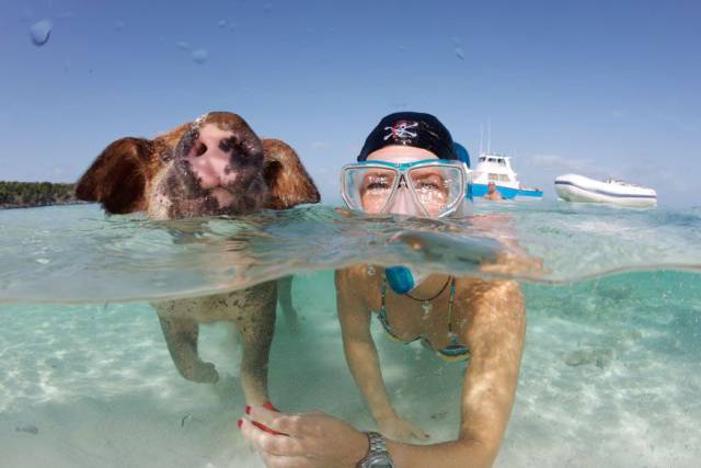 daily picdump 90 pics 35.html - 90 HD Photos | Premium Gallery 2016