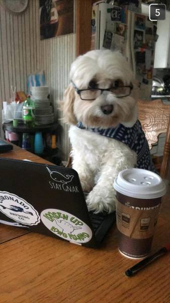 morning picdump 52 pics 9.html - 52 HD Photos | Premium Gallery 2016