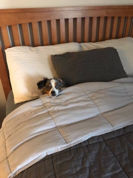 morning picdump 52 pics 9.html - 52 HD Photos | Premium Gallery 2016