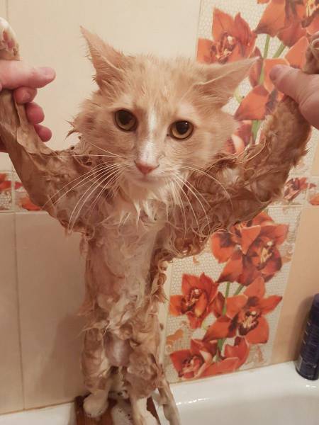 Daily Picdump