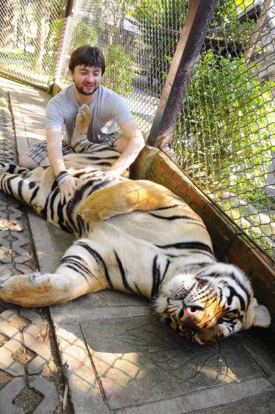 Daily Picdump