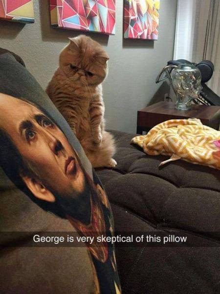 Daily Picdump