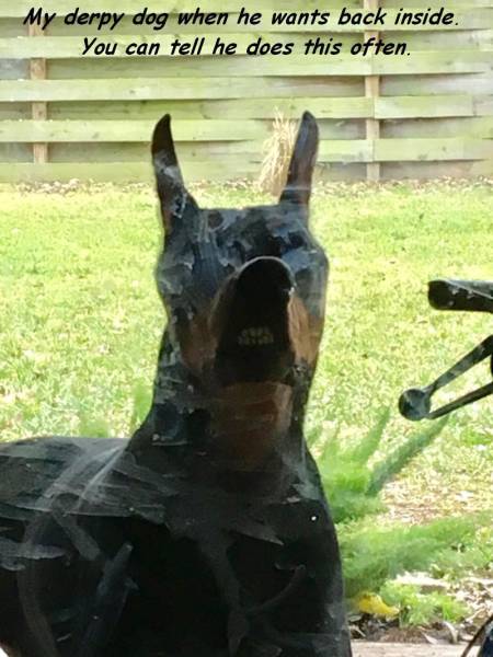 Daily Picdump