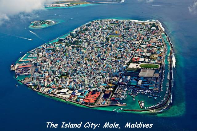 daily picdump 86 pics 35.html - 86 HD Photos | Premium Gallery 2016