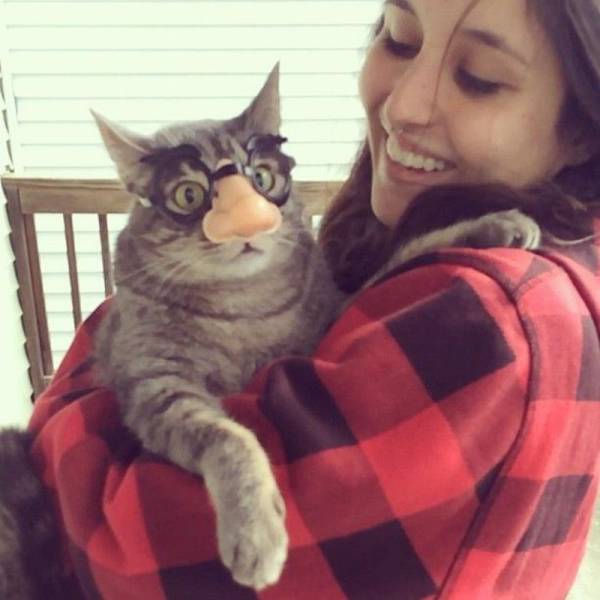 daily picdump 86 pics 35.html - 86 HD Photos | Premium Gallery 2016