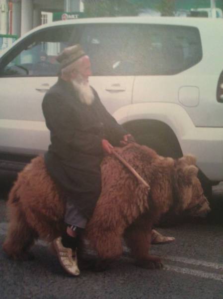 daily picdump 86 pics 35.html - 86 HD Photos | Premium Gallery 2016