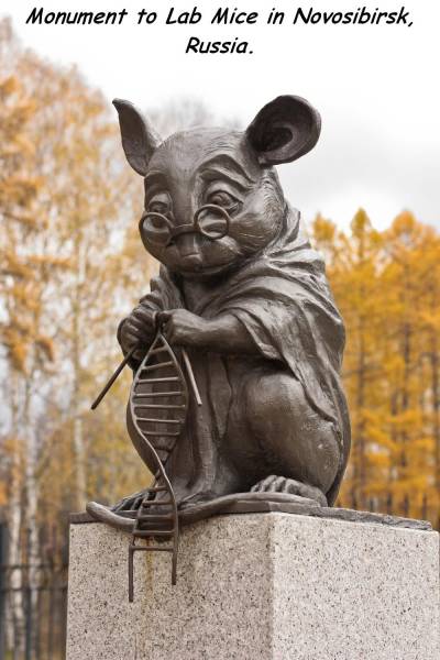 daily picdump 86 pics 35.html - 86 HD Photos | Premium Gallery 2016