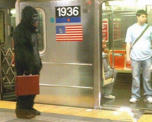 daily picdump 86 pics 35.html - 86 HD Photos | Premium Gallery 2016