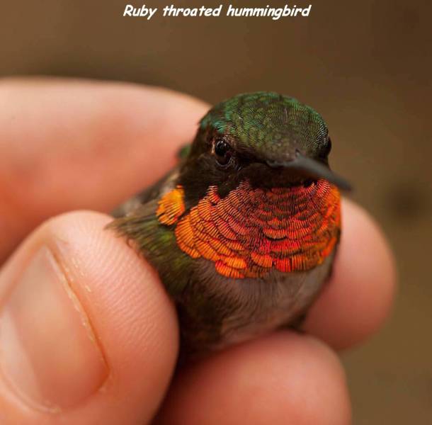 daily picdump 86 pics 35.html - 86 HD Photos | Premium Gallery 2016