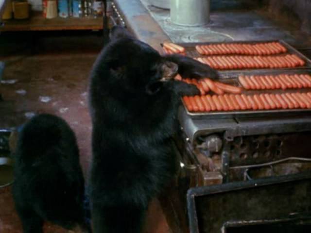 daily picdump 86 pics 35.html - 86 HD Photos | Premium Gallery 2016