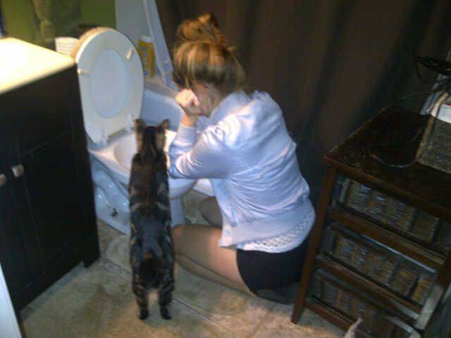 daily picdump 86 pics 35.html - 86 HD Photos | Premium Gallery 2016