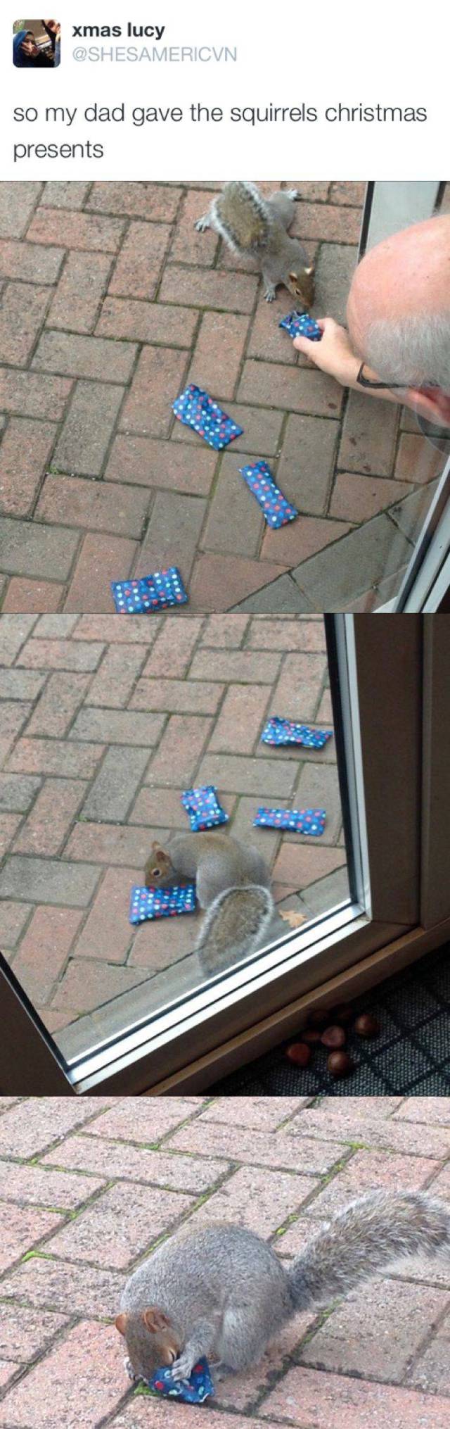 daily picdump 86 pics 35.html - 86 HD Photos | Premium Gallery 2016