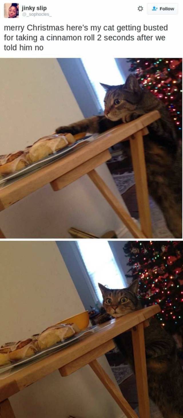 daily picdump 86 pics 35.html - 86 HD Photos | Premium Gallery 2016