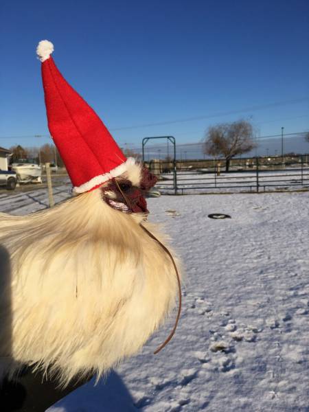 morning picdump 50 pics 15.html - 50 HD Photos | Premium Gallery 2016