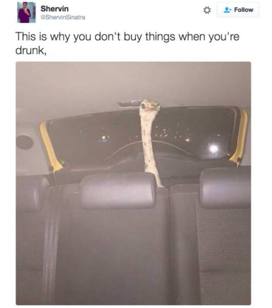 daily picdump 89 pics 4.html - 89 HD Photos | Premium Gallery 2016