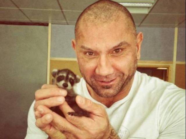 daily picdump 89 pics 4.html - 89 HD Photos | Premium Gallery 2016