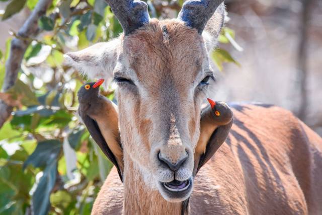 daily picdump 89 pics 4.html - 89 HD Photos | Premium Gallery 2016