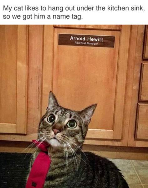 daily picdump 89 pics 4.html - 89 HD Photos | Premium Gallery 2016