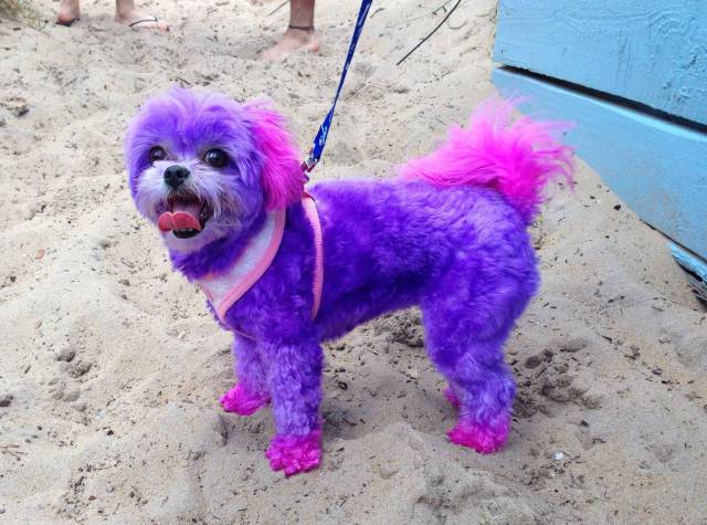 daily picdump 89 pics 18.html - 89 HD Photos | Premium Gallery 2016