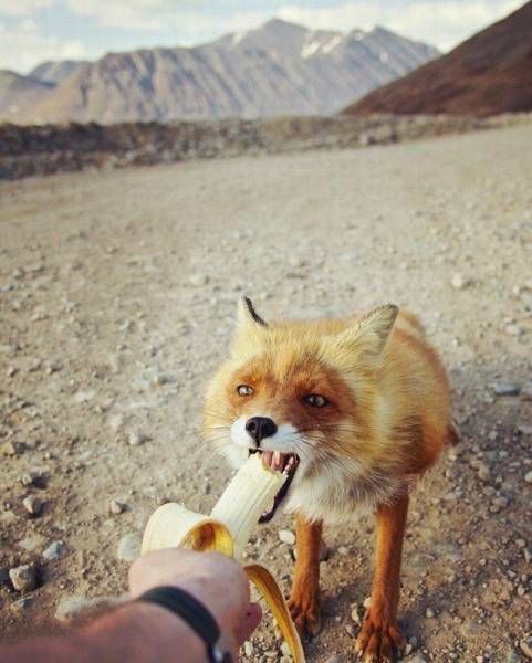 daily picdump 89 pics 18.html - 89 HD Photos | Premium Gallery 2016