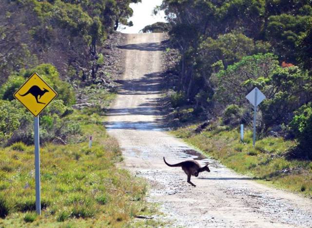 daily picdump 89 pics 18.html - 89 HD Photos | Premium Gallery 2016